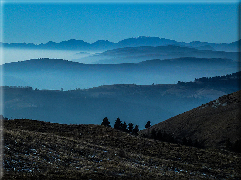 foto Salita dal Monte Tomba a Cima Grappa